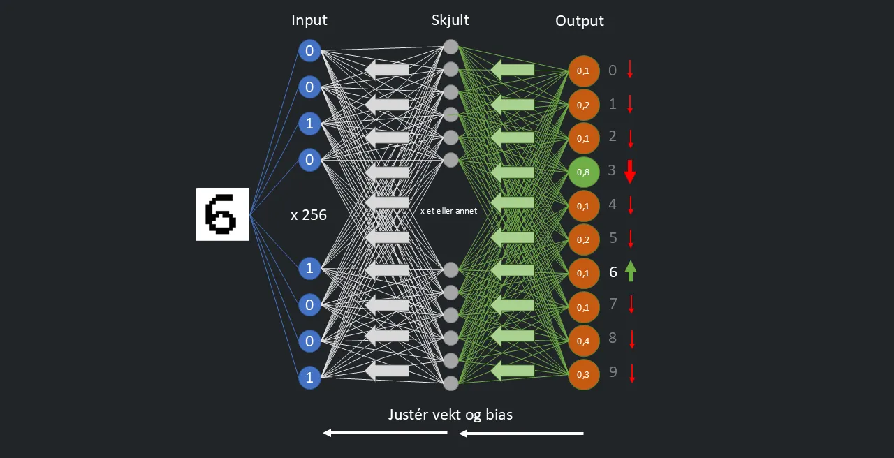 parameterne justeres når modellen trenes